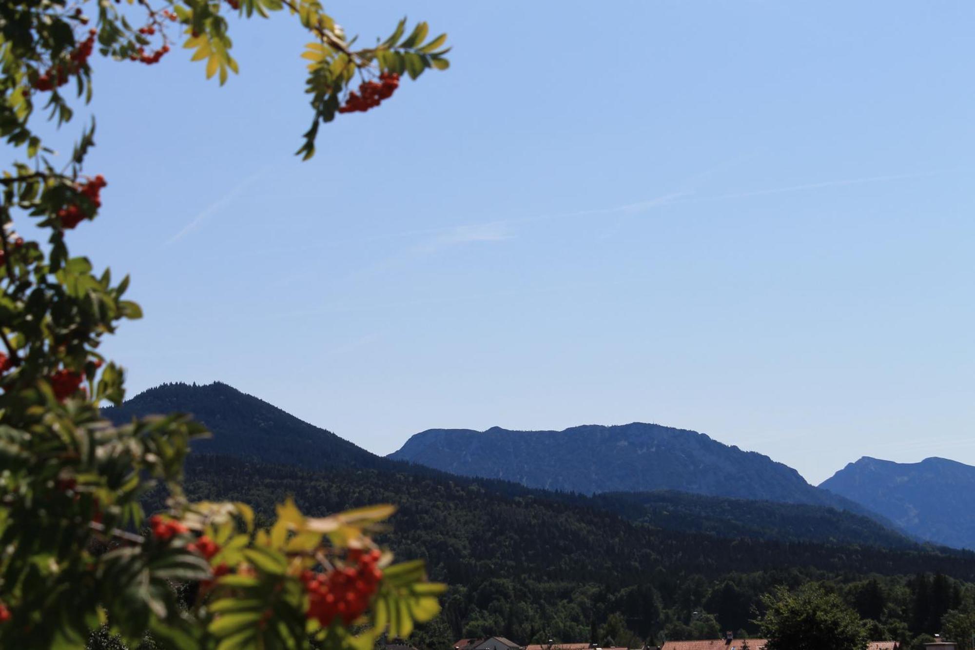 Hotel Garni Edelweiss Siegsdorf Dış mekan fotoğraf