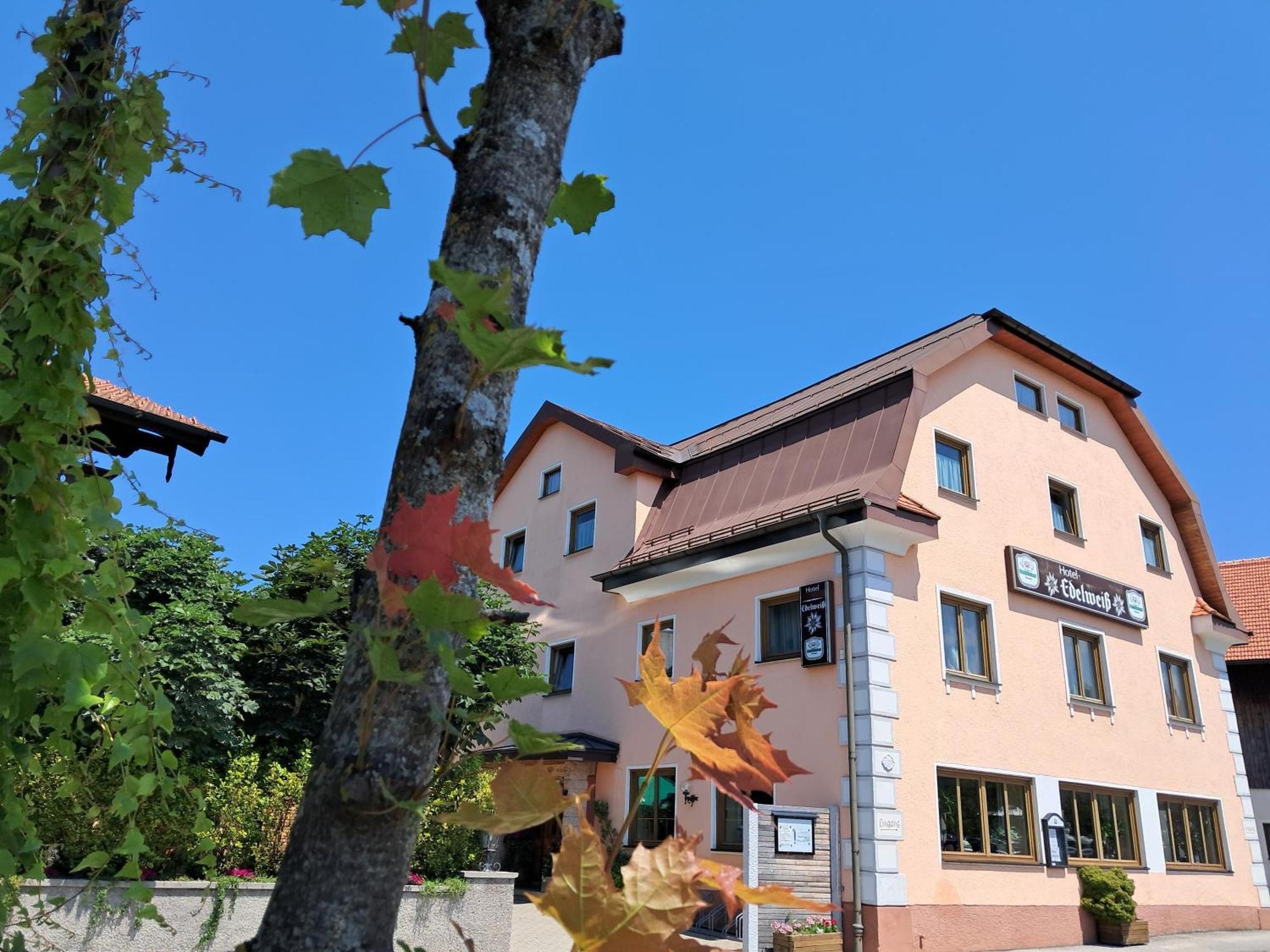 Hotel Garni Edelweiss Siegsdorf Dış mekan fotoğraf